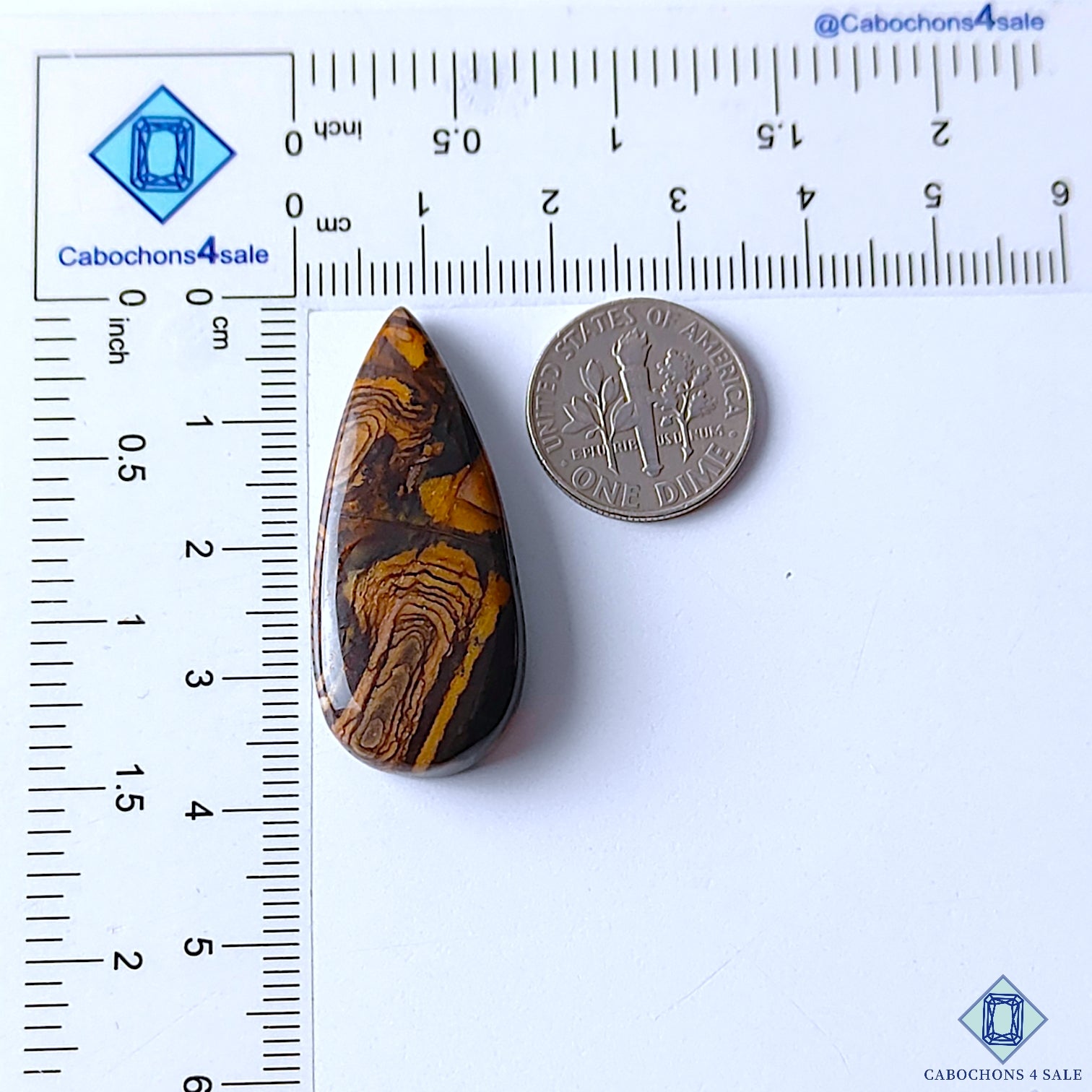 Stromatolite Jasper