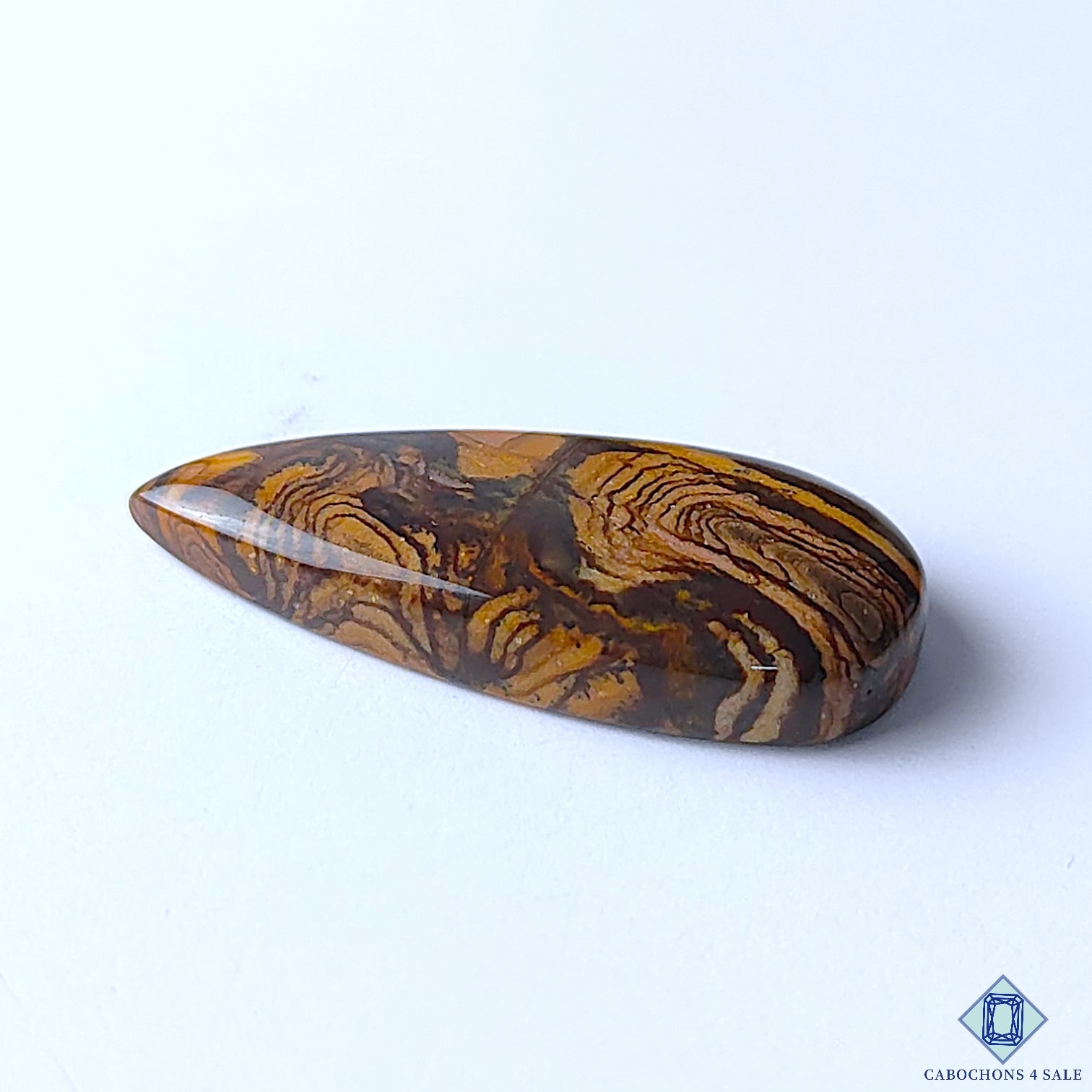 Stromatolite Jasper