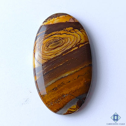 Stromatolite Jasper