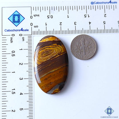 Stromatolite Jasper