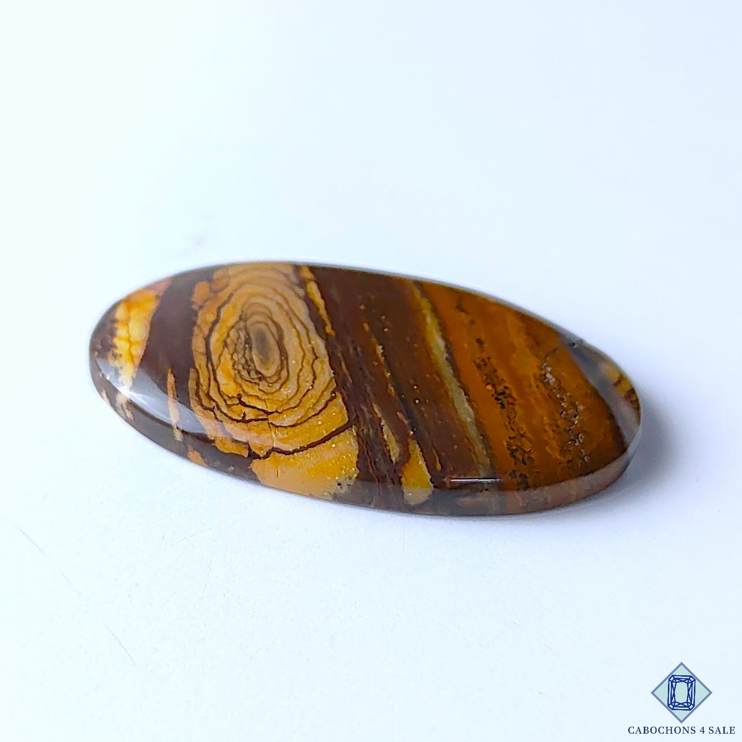 Stromatolite Jasper