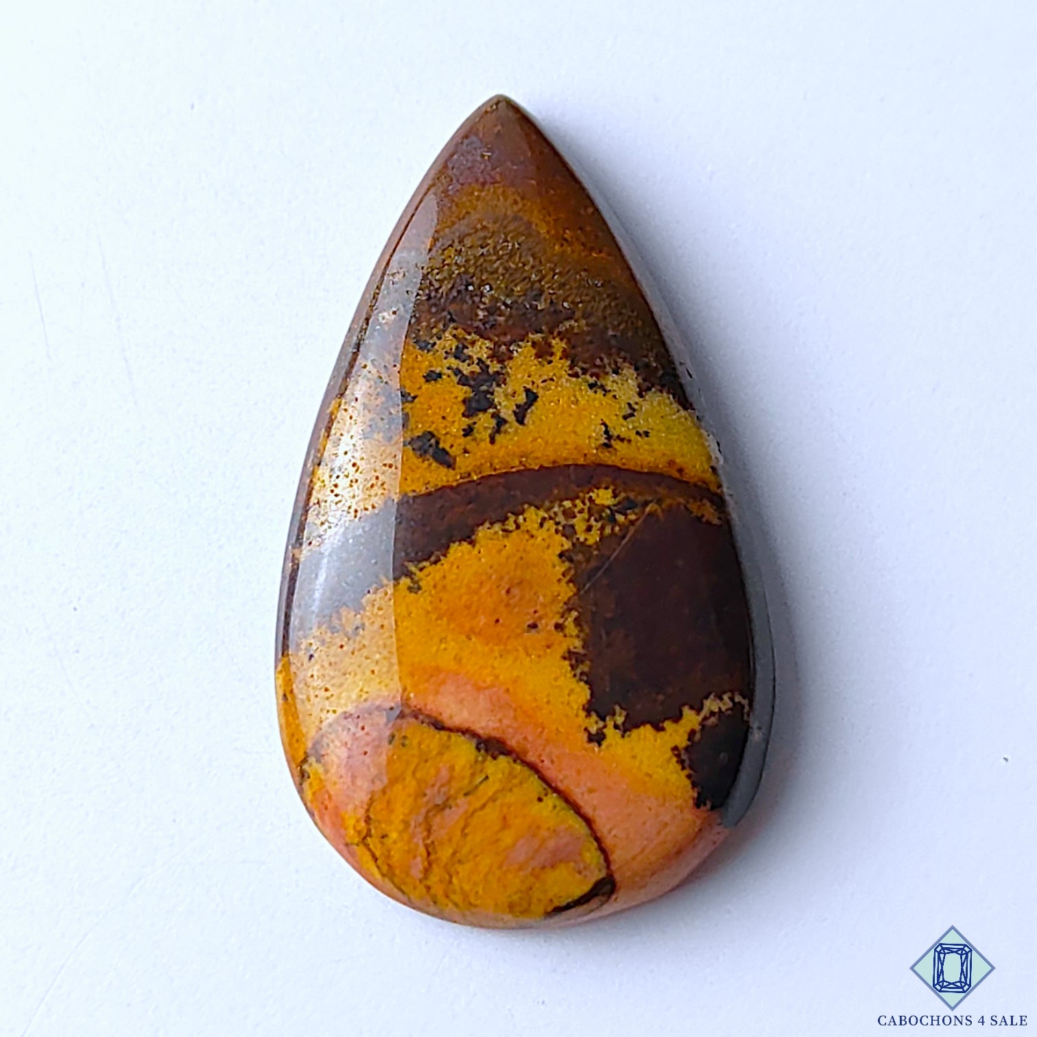 Stromatolite Jasper