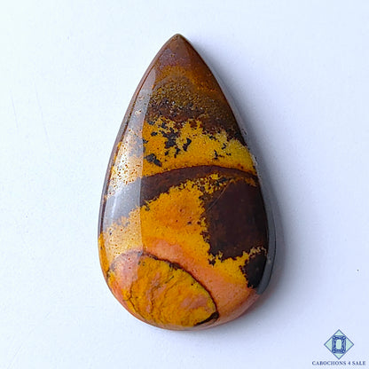 Stromatolite Jasper