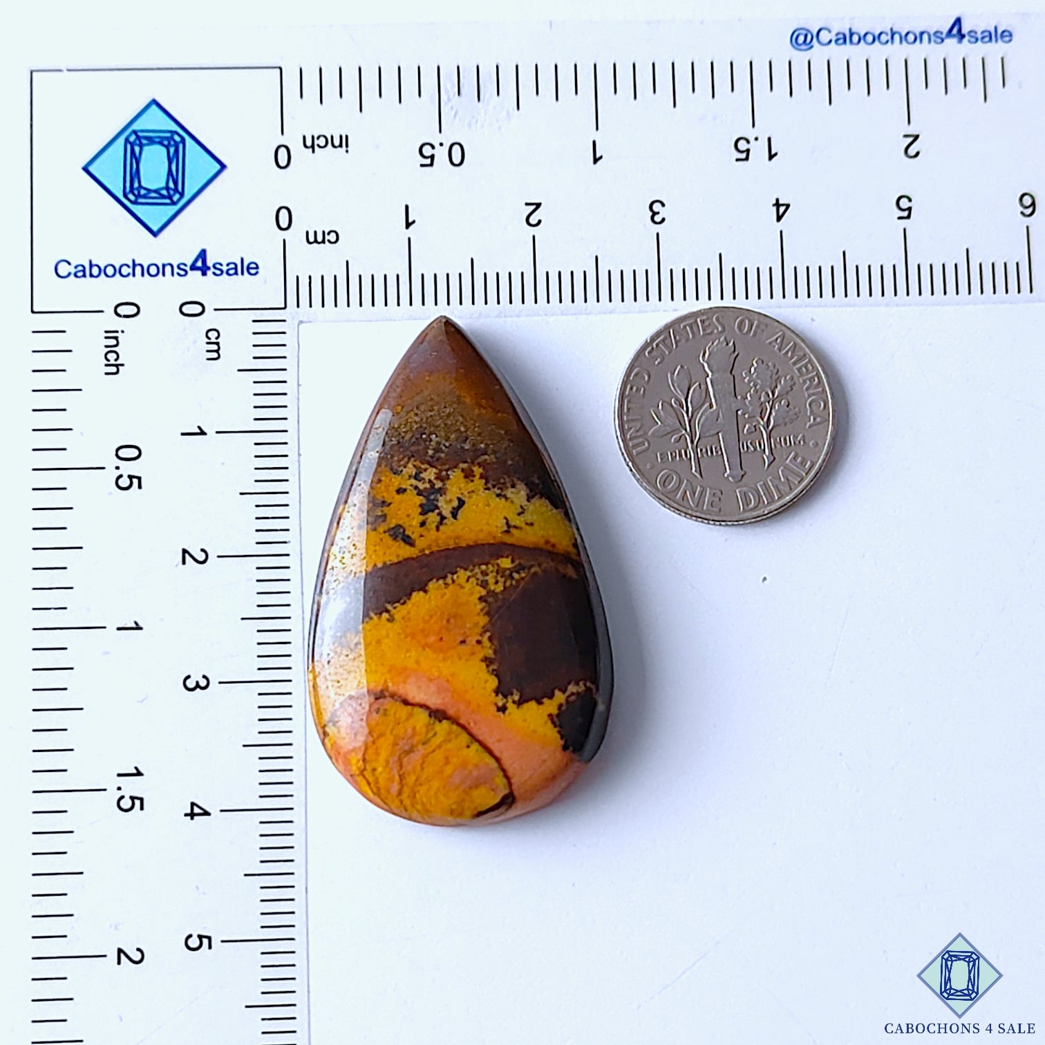 Stromatolite Jasper