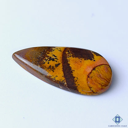 Stromatolite Jasper