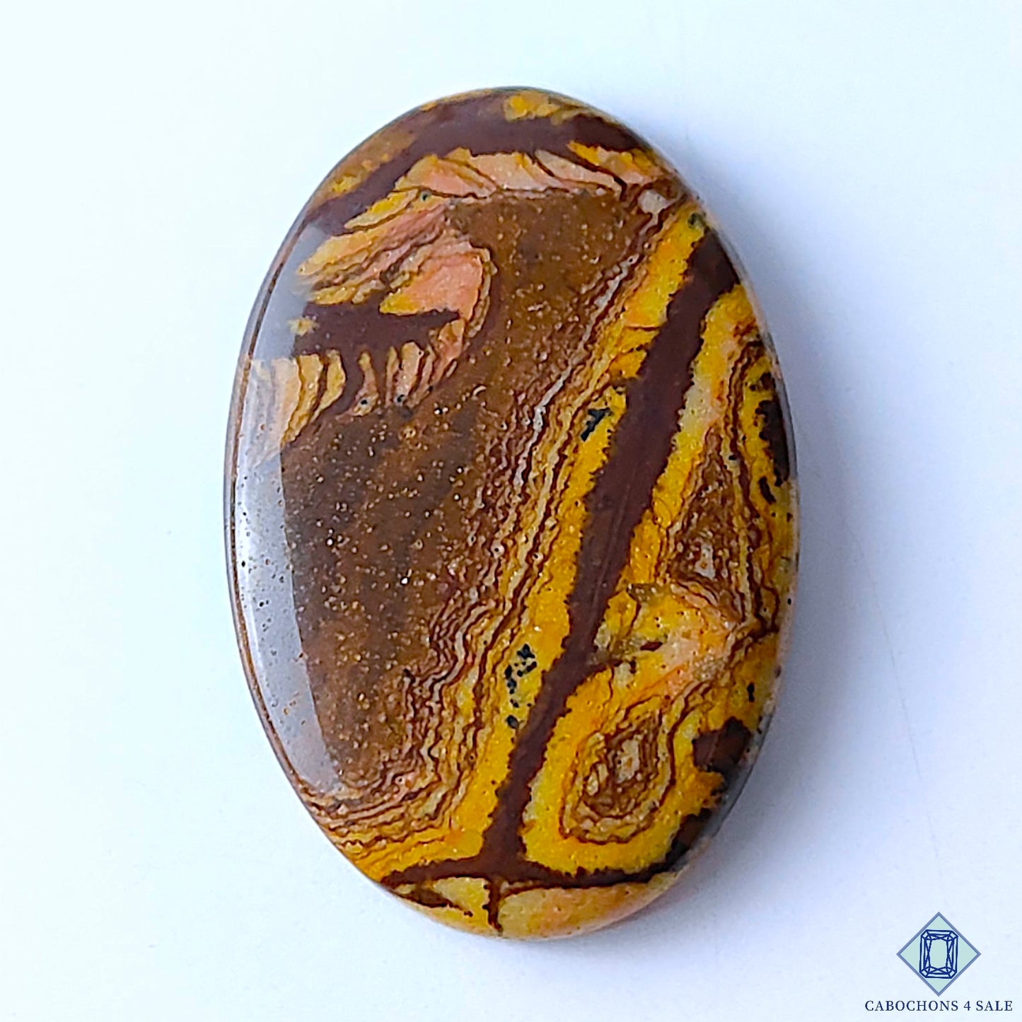 Stromatolite Jasper