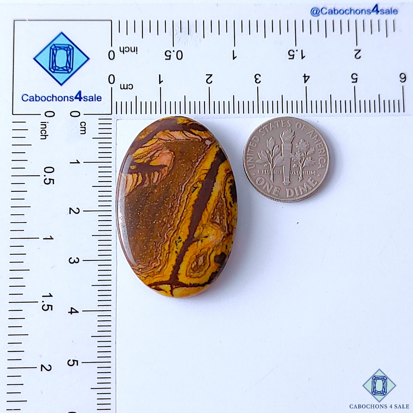 Stromatolite Jasper