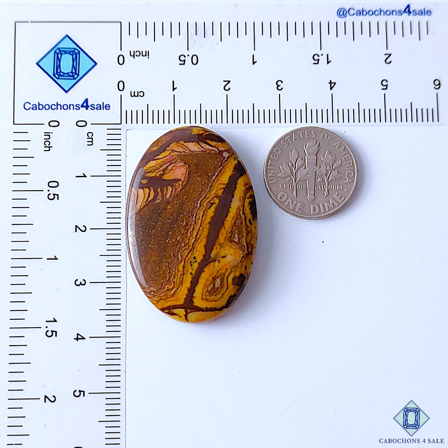 Stromatolite Jasper