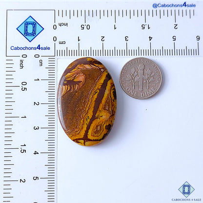 Stromatolite Jasper