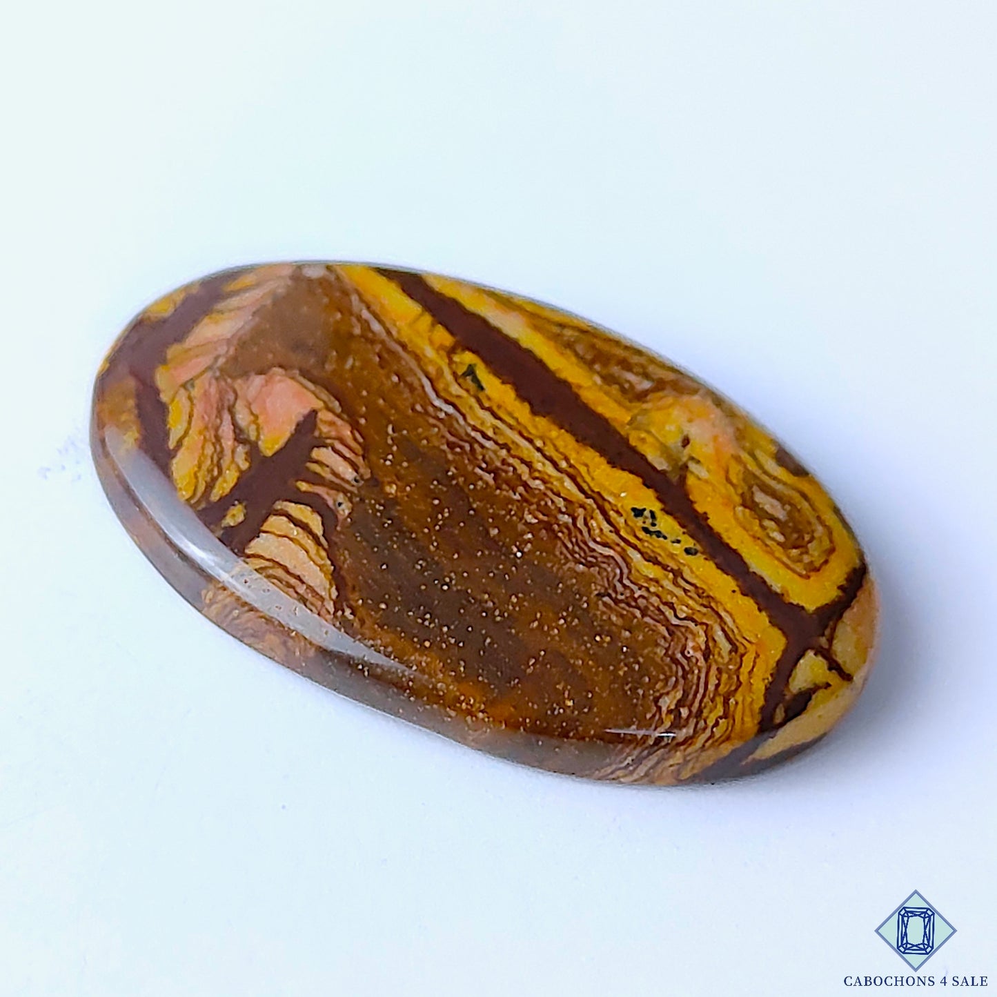 Stromatolite Jasper
