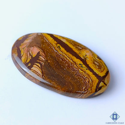 Stromatolite Jasper