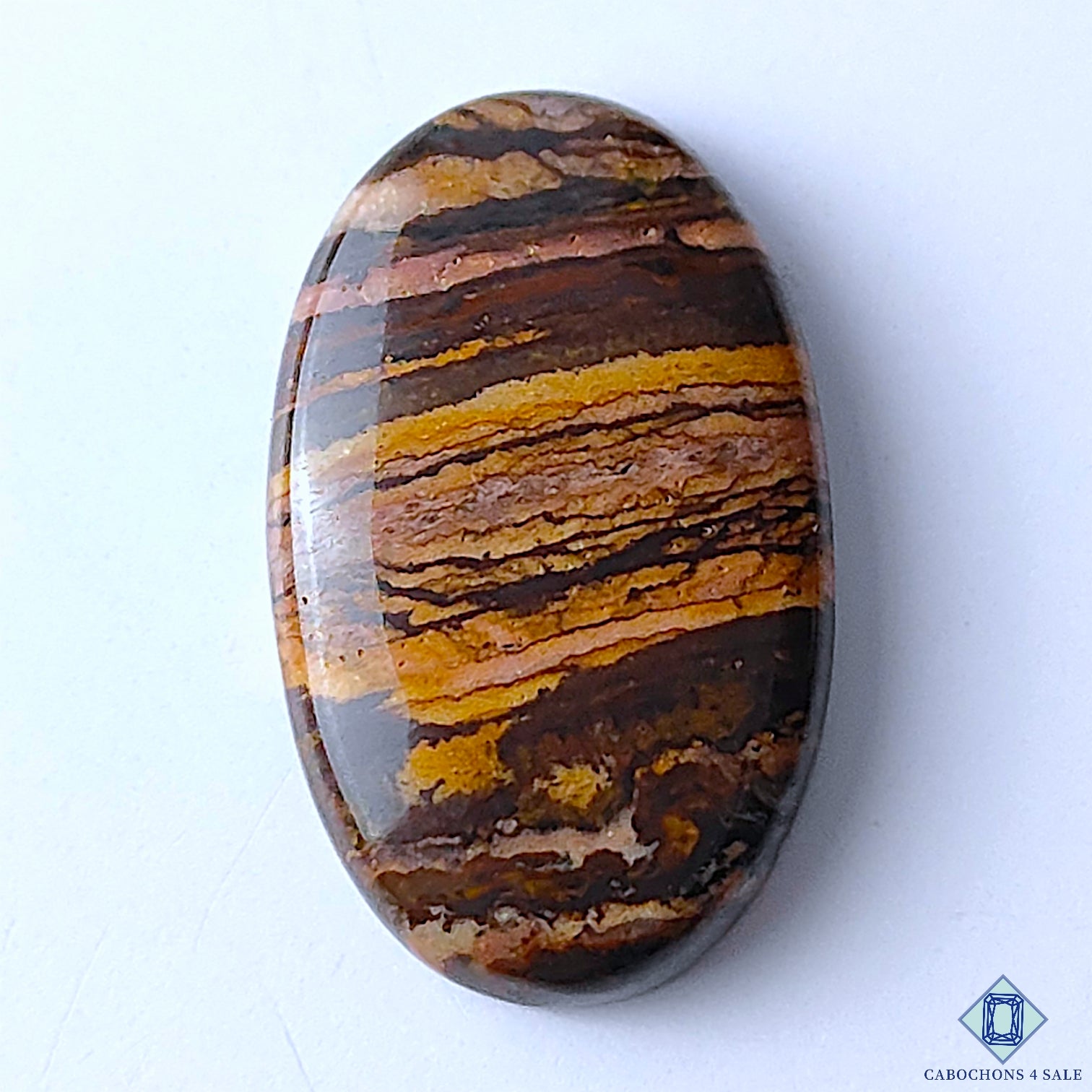 Stromatolite Jasper