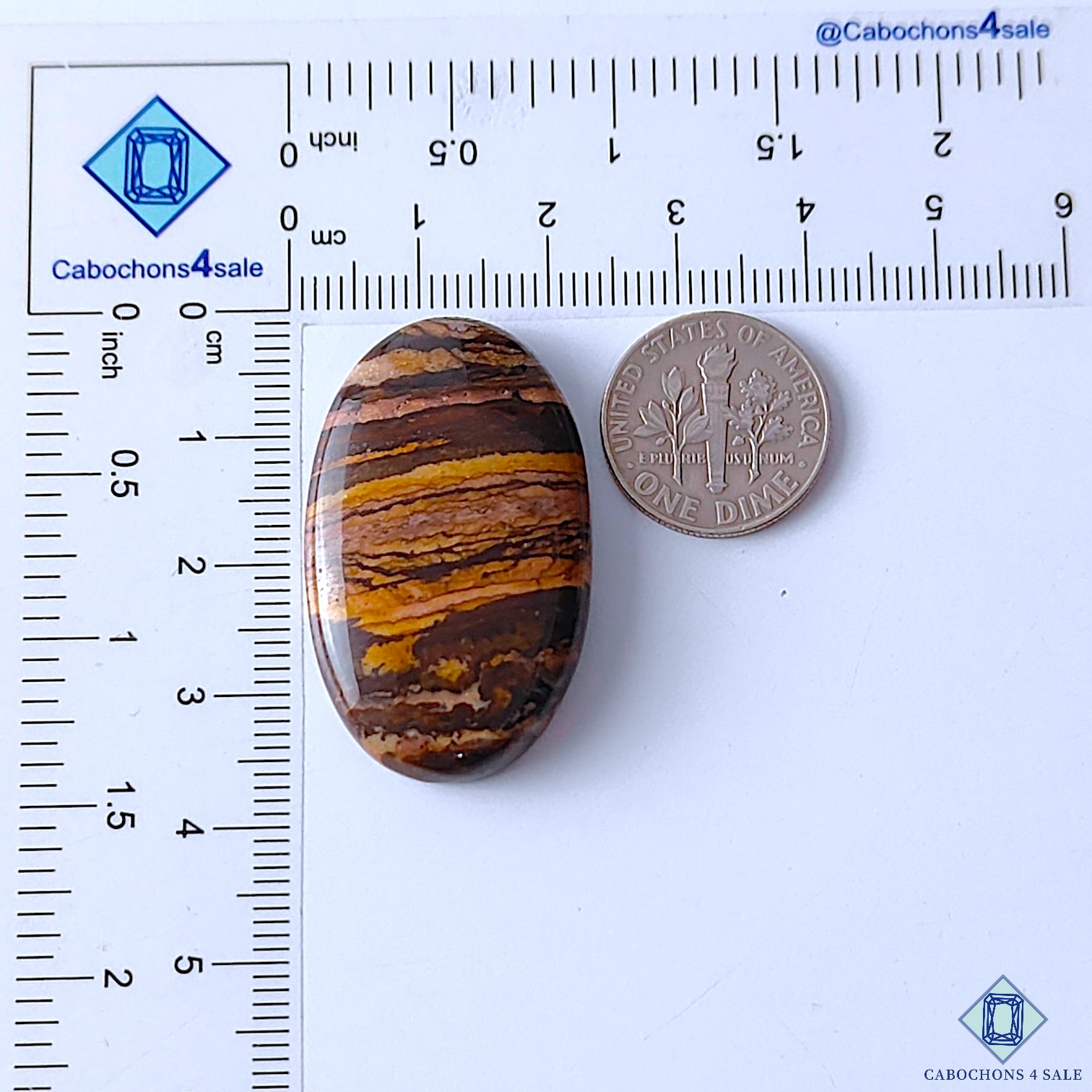 Stromatolite Jasper