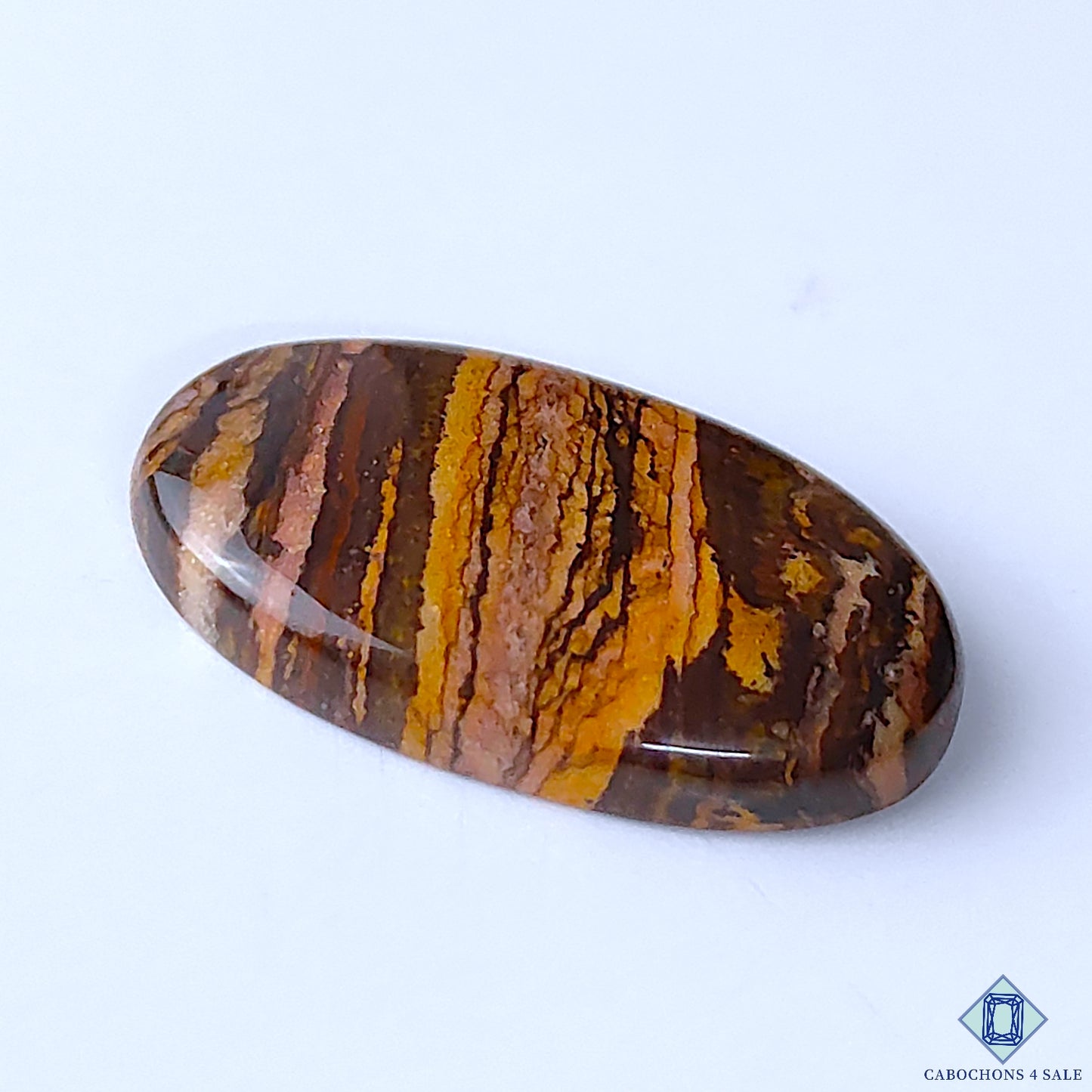 Stromatolite Jasper