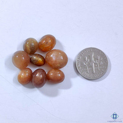 0-Sunstone-C4sw23170-2-Oval-Brown-mm-Lots-Translucent-0
