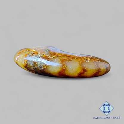 Natural Suture Ammonite Gemstone Fancy Druzy 40*31*11mm from Canada available for sale