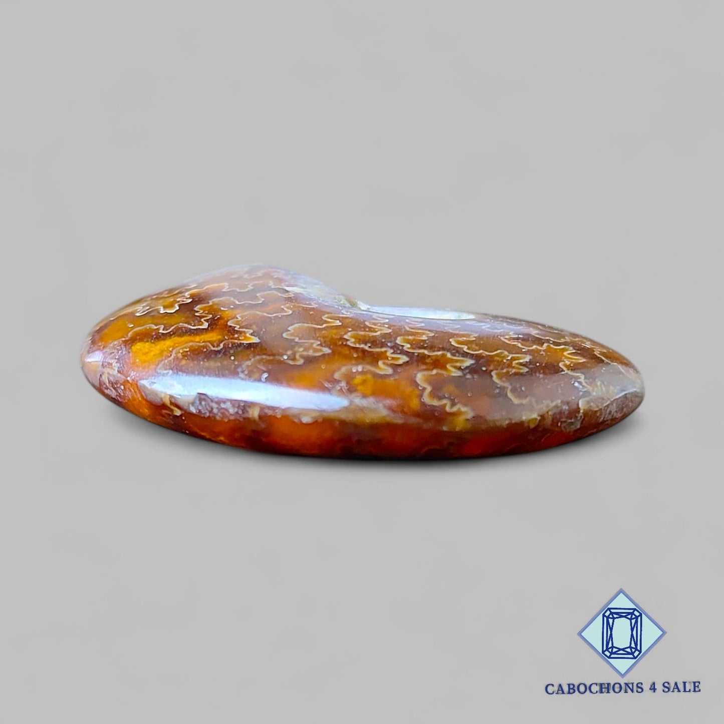 Natural Suture Ammonite Gemstone Fancy Druzy 41*31*12mm from Canada  available for sale