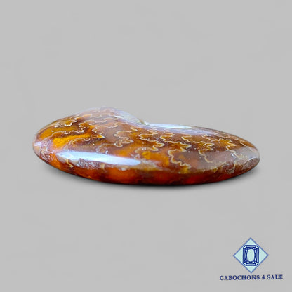 Natural Suture Ammonite Gemstone Fancy Druzy 41*31*12mm from Canada  available for sale