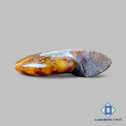 Natural Suture Ammonite Gemstone Fancy Druzy 41*32*12mm from Canada  available for sale