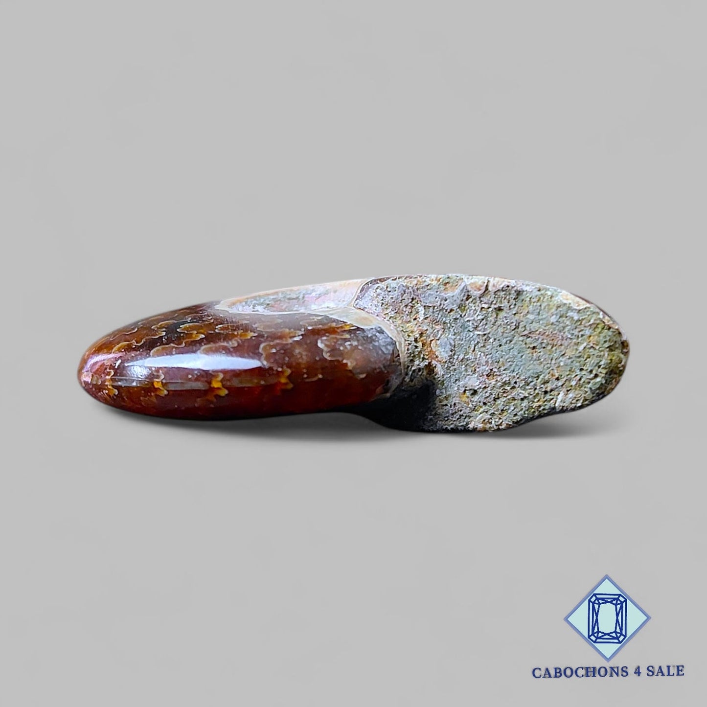 Natural Suture Ammonite Gemstone Fancy Druzy 35*28*10mm from Canada  available for sale