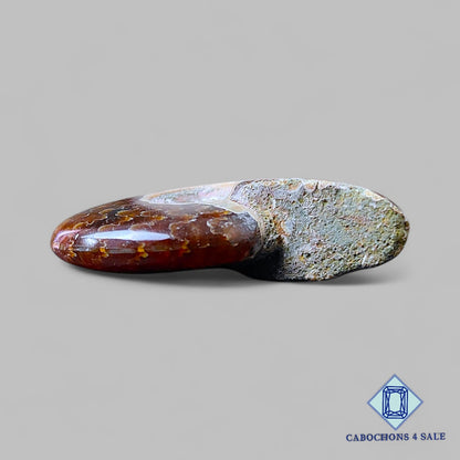 Natural Suture Ammonite Gemstone Fancy Druzy 35*28*10mm from Canada  available for sale