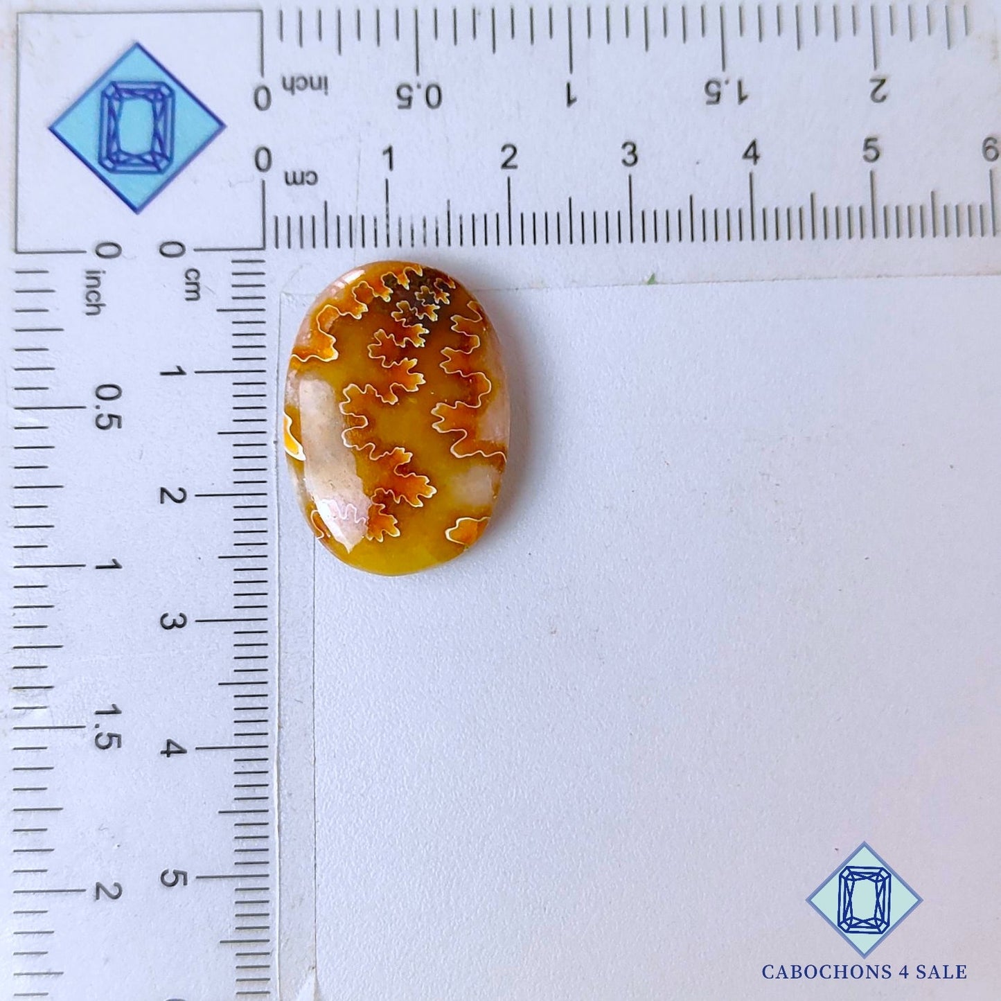 Cabujones ovalados de amonita de sutura natural de 25 x 18 x 5 mm, de Canadá, disponibles para la venta.