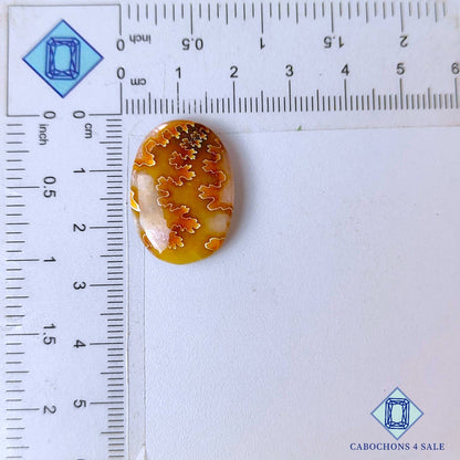 Cabujones ovalados de amonita de sutura natural de 25 x 18 x 5 mm, de Canadá, disponibles para la venta.