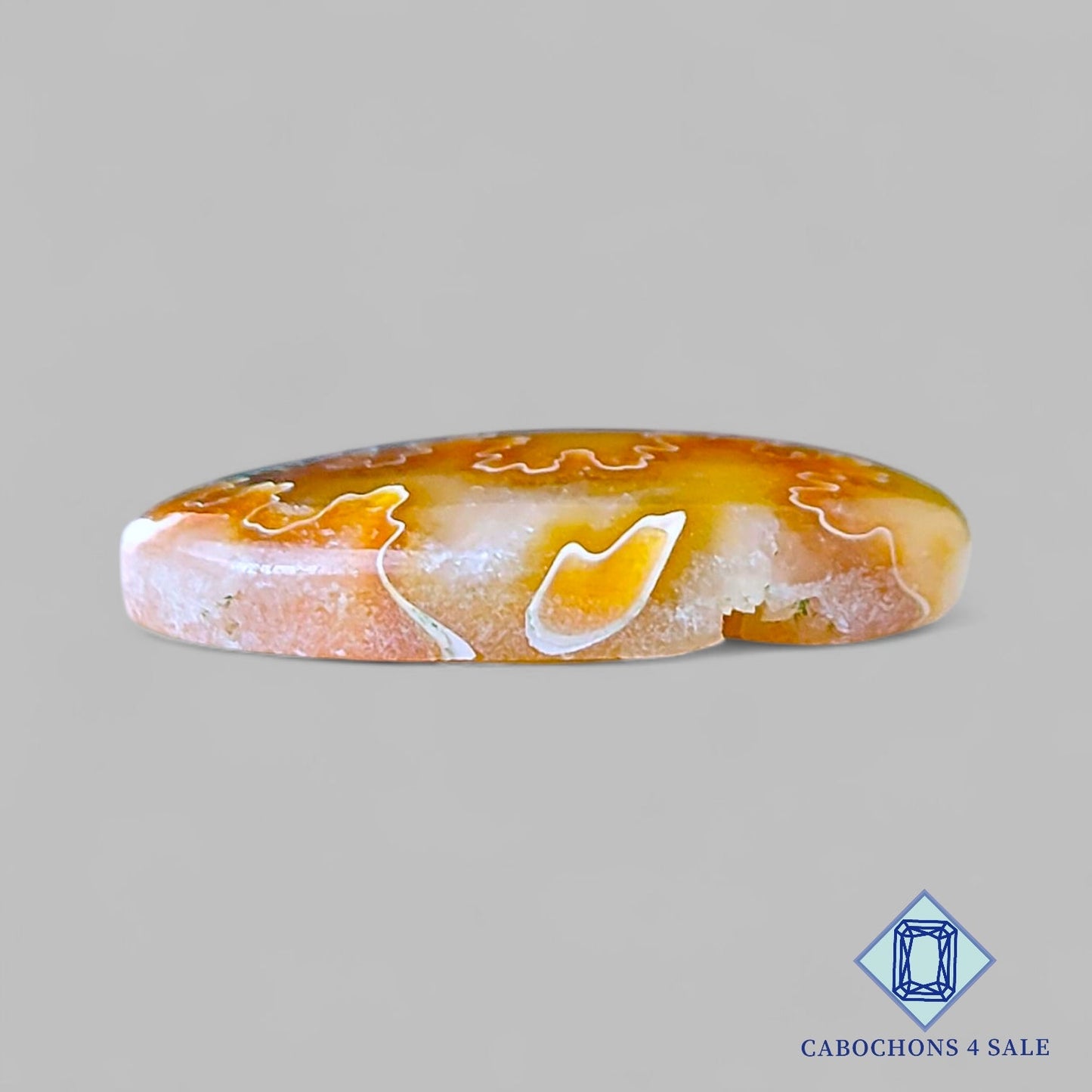 Cabujones ovalados de amonita de sutura natural de 25 x 18 x 5 mm, de Canadá, disponibles para la venta.