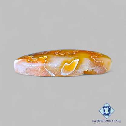 Cabujones ovalados de amonita de sutura natural de 25 x 18 x 5 mm, de Canadá, disponibles para la venta.