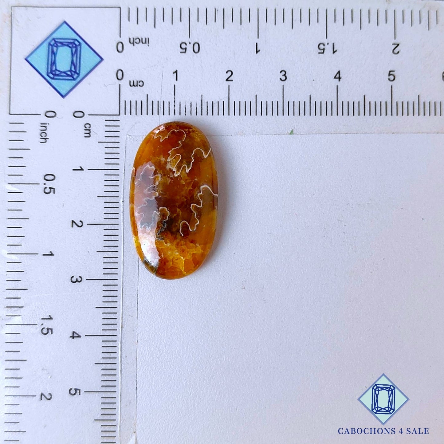 Cabujones ovalados de amonita de sutura natural de 28 x 16 x 5 mm, procedentes de Canadá, disponibles para la venta.