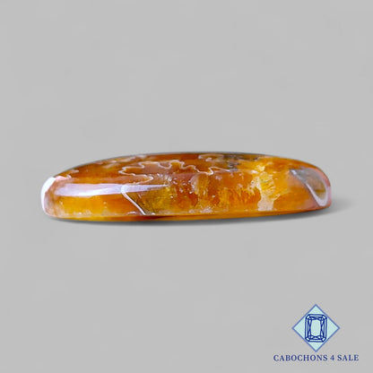 Cabujones ovalados de amonita de sutura natural de 28 x 16 x 5 mm, procedentes de Canadá, disponibles para la venta.