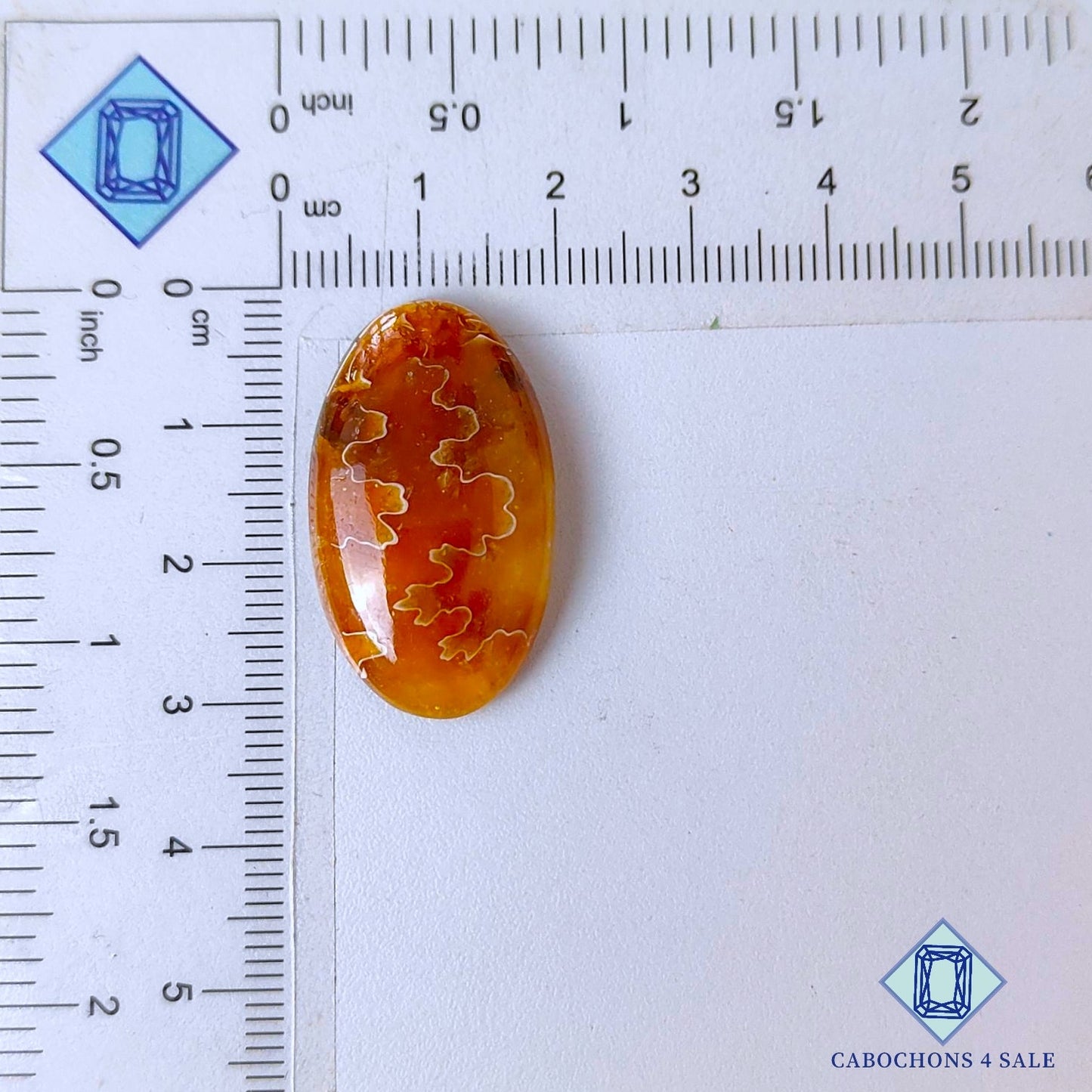 Cabujones ovalados de amonita de sutura natural de 30 x 17 x 6 mm, de Canadá, disponibles para la venta.