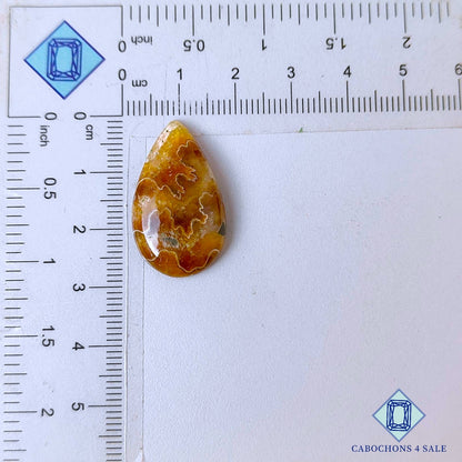 Cabujones de amonita de sutura natural en forma de pera de 27 x 16 x 5 mm, de Canadá, disponibles para la venta.