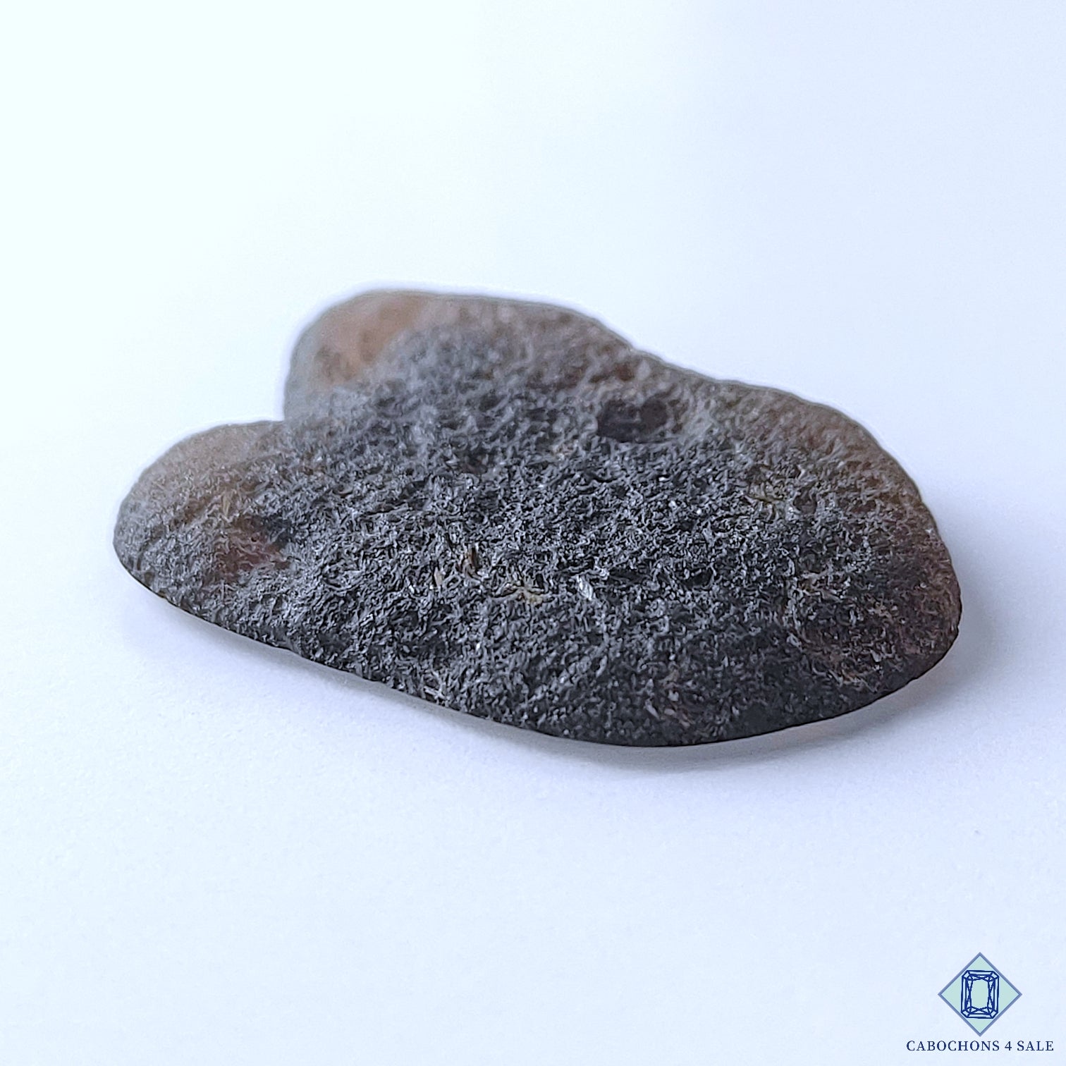 Tektite Meteorite