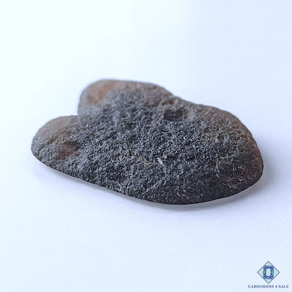 Tektite Meteorite