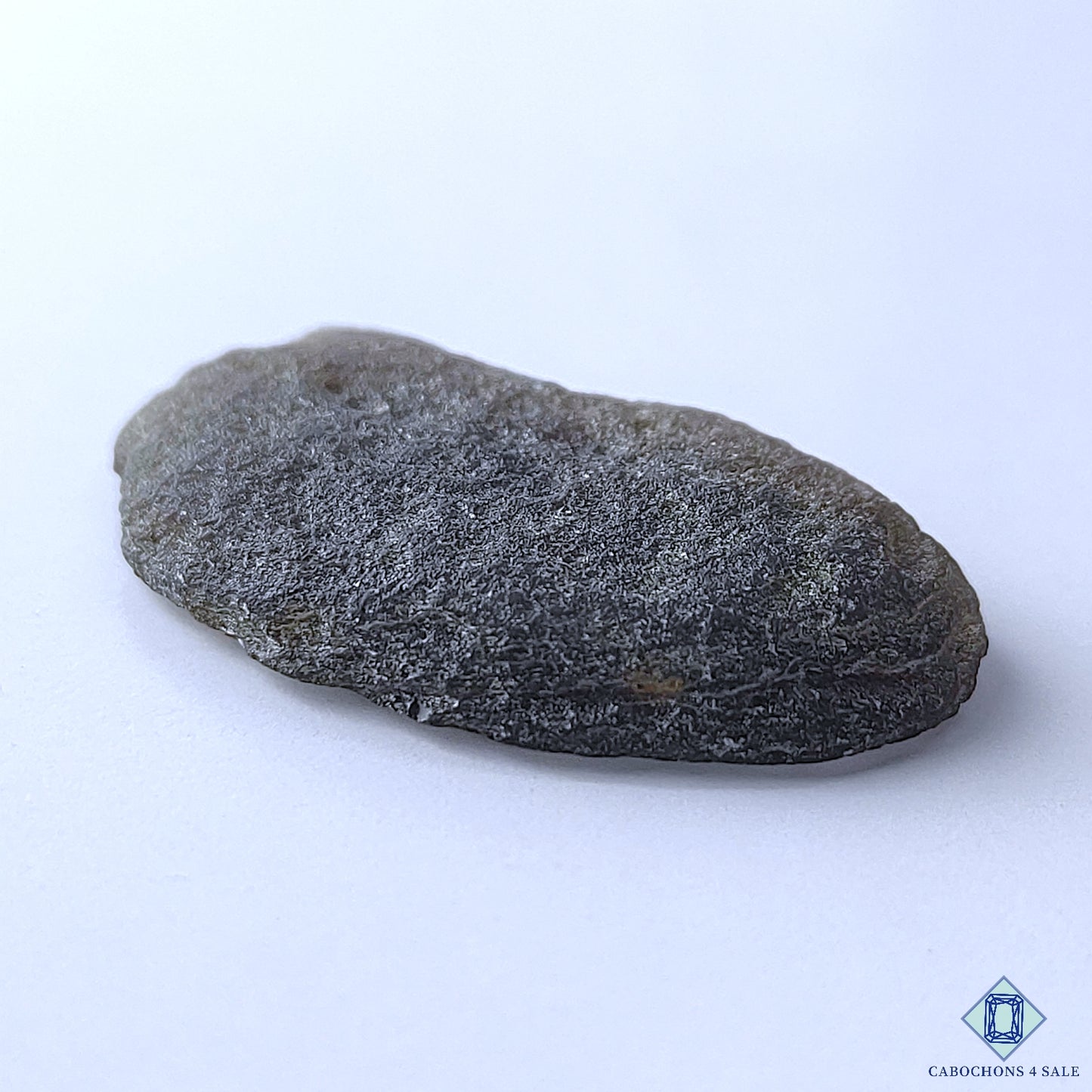 Tektite Meteorite