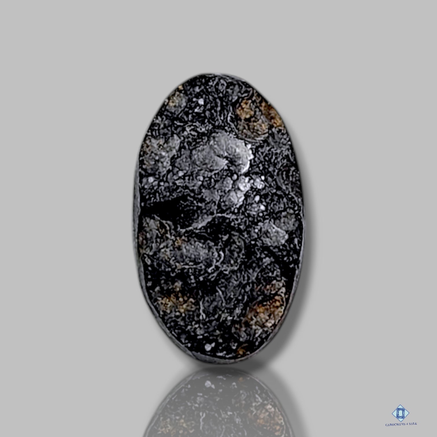 Tektite Meteorite