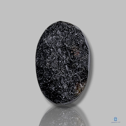 Tektite Meteorite