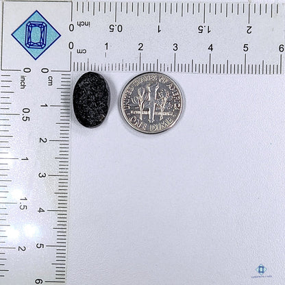 Tektite Meteorite Oval Druzy