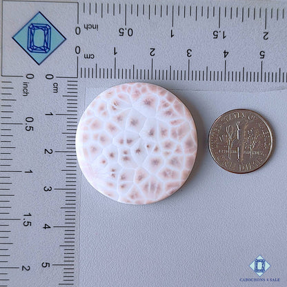 Thomsonite Netrolite