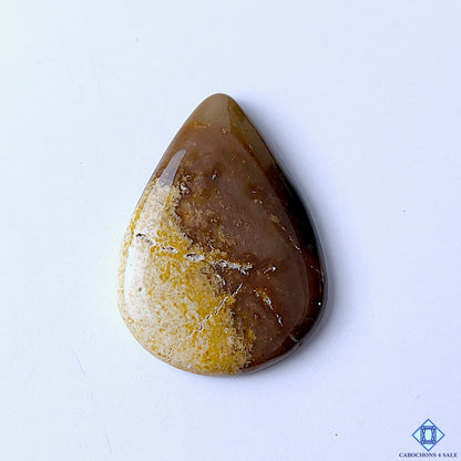Thunder Agate