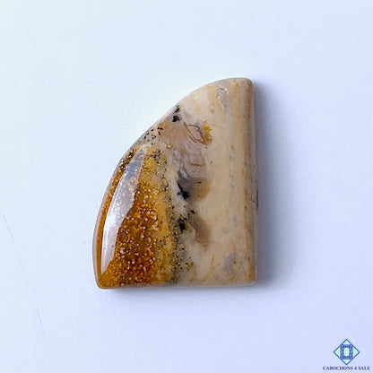 Thunder Agate
