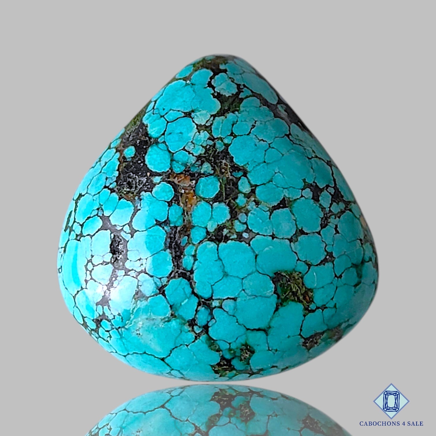 Tibetan Turquoise