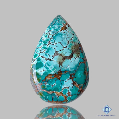 Tibetan Turquoise