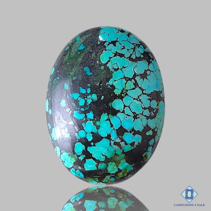 Tibetan Turquoise