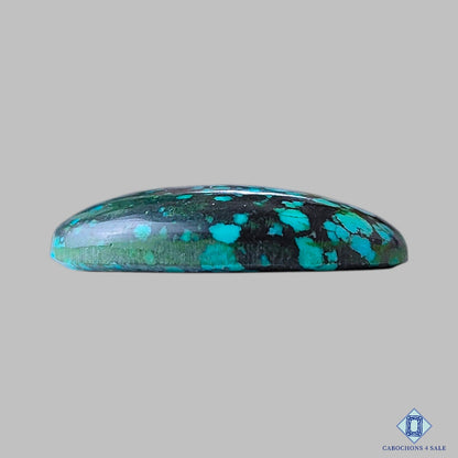Tibetan Turquoise