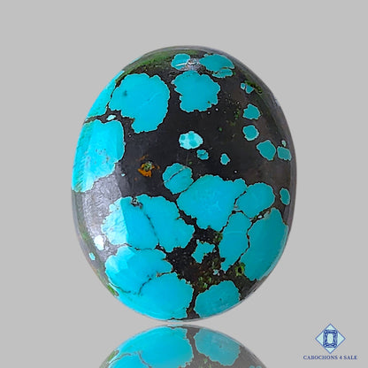 Tibetan Turquoise