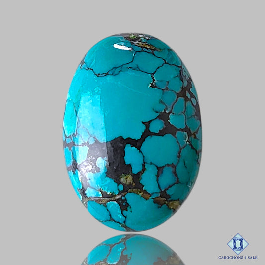 Tibetan Turquoise