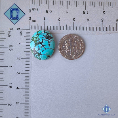 Tibetan Turquoise