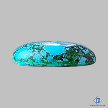 Tibetan Turquoise